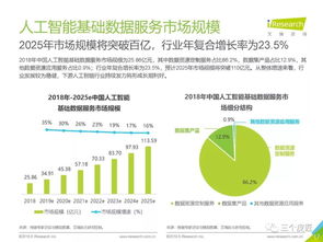 2019年中國人工智能基礎數據服務白皮書 數據處理服務
